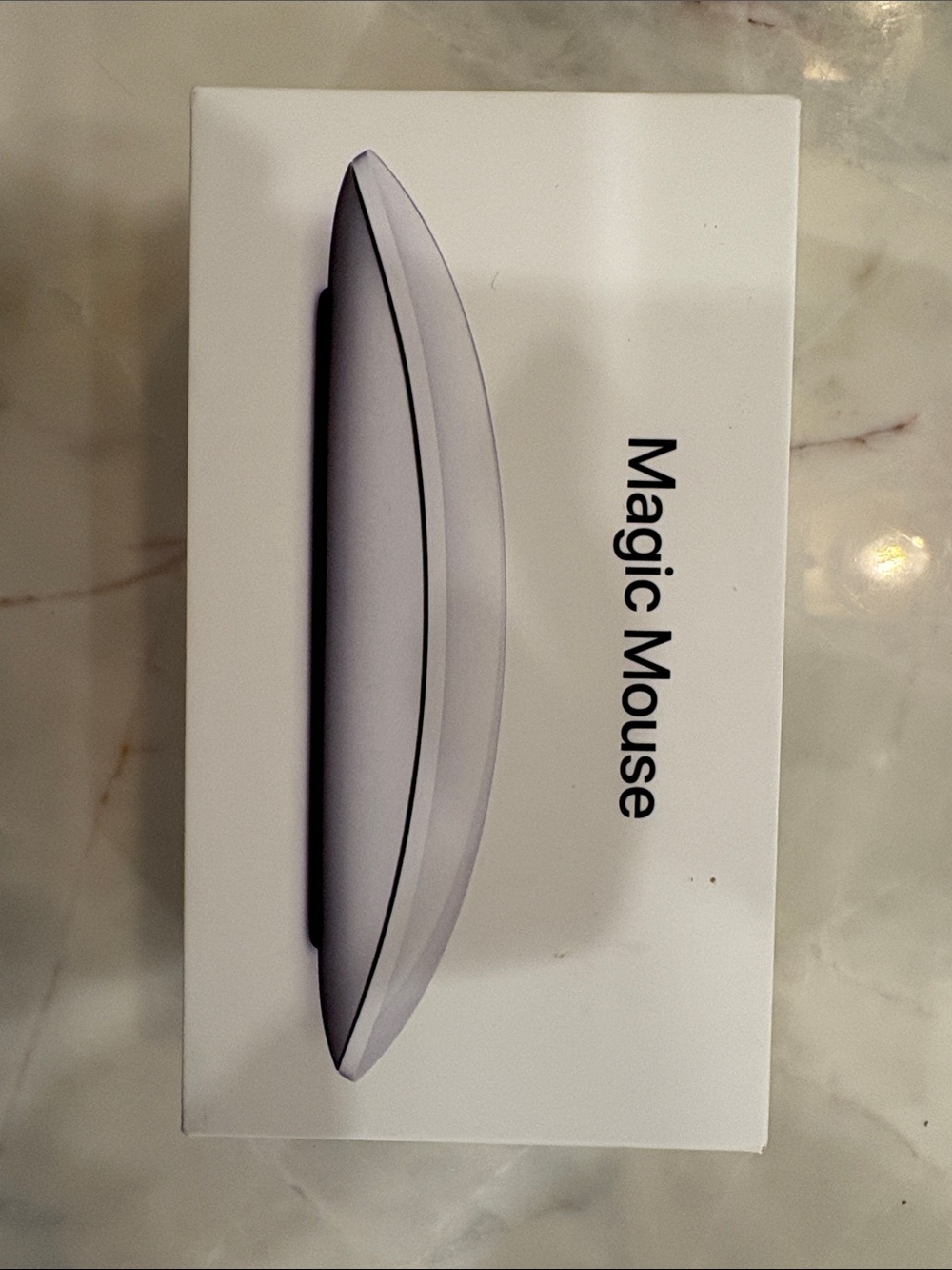 Apple Magic Mouse 2 in White and Silver